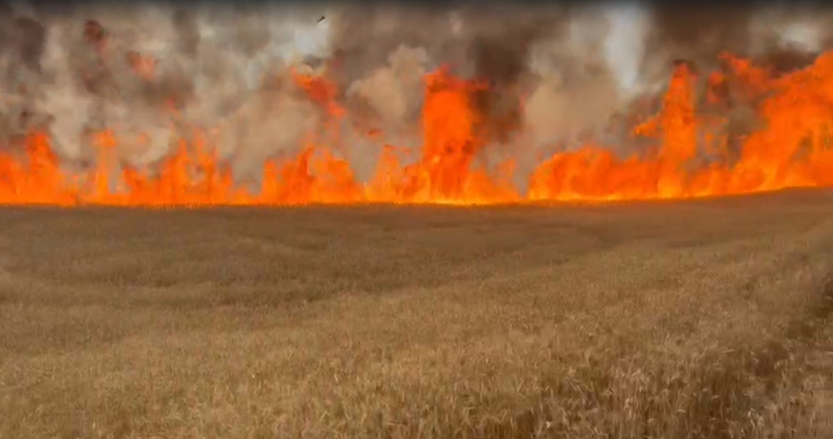 Kangal’da hasat edilmeyi bekleyen tarla yandı