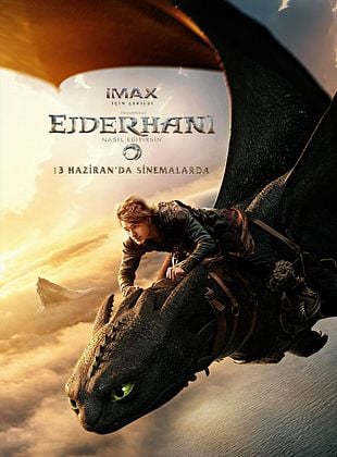 Ejderhanı Nasıl Eğitirsin