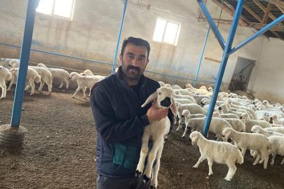 10 Köy Karantinada, “Hayvan Ölümleri Devam Ediyor”