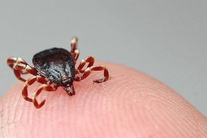 ACİL ÇÖZÜM ÇAĞRISI!