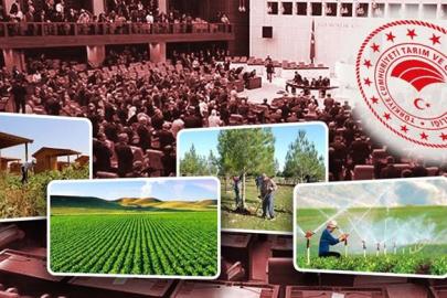 Hobi Bahçelerine Yönelik Denetimler Artıyor: Cezalar Yükseltiliyor