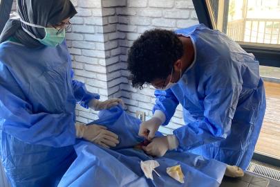 Sivas’ta Sokak Hayvanlarına Örnek Uygulama: 200 Köpek Kısırlaştırıldı