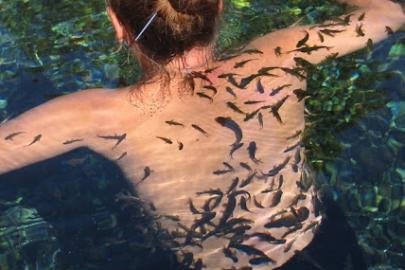 Kangal Balıklıgöl Tabiat Parkı Resmen İlan Edildi