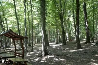 Sivas Valiliği Tarafından Ormanlara Giriş Yasaklandı