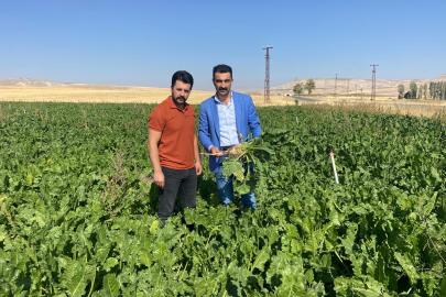 Basri Çoban: “Pancar Fiyatı 3.750 TL Olmalı”