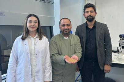 Sivas’ta Yetiştirilen Zeron Buğdayından Organik Bulgur Üretildi