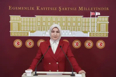 “Siyasi nezaketle bağdaşmıyor”