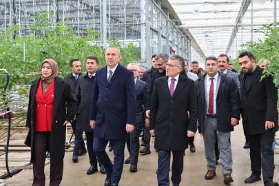 Çöpten Enerji, Isıdan Tarım