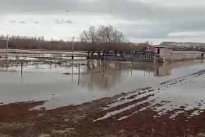 Muhtardan Acil Önlem Çağrısı