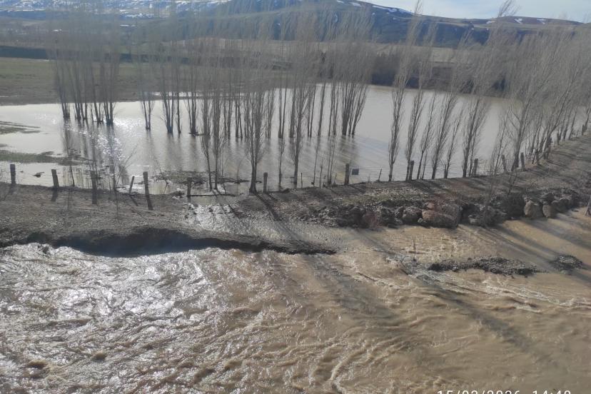 Taşlıdere’de Tecer Deresi Taştı: Tarla ve Çiftlikler Sular Altında
